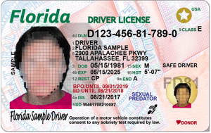 florida driver license check