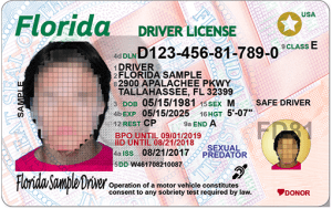 florida drivers license lookup