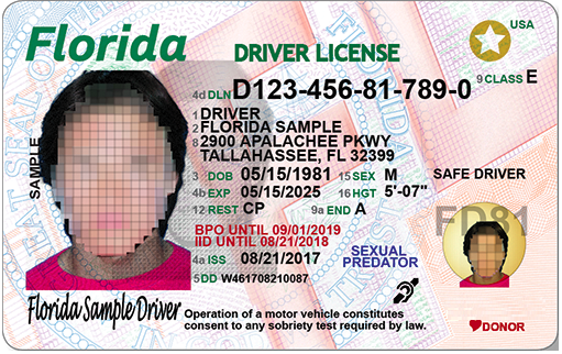 Florida Drivers License Check