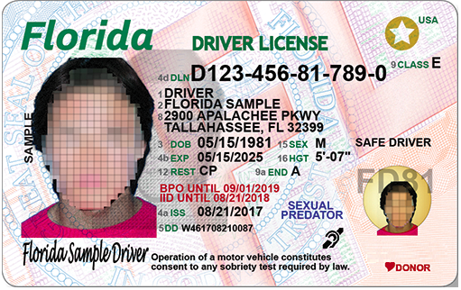 florida drivers license check