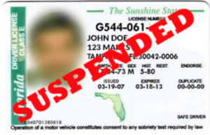 check driver license status miami fl check driver license status miami fl